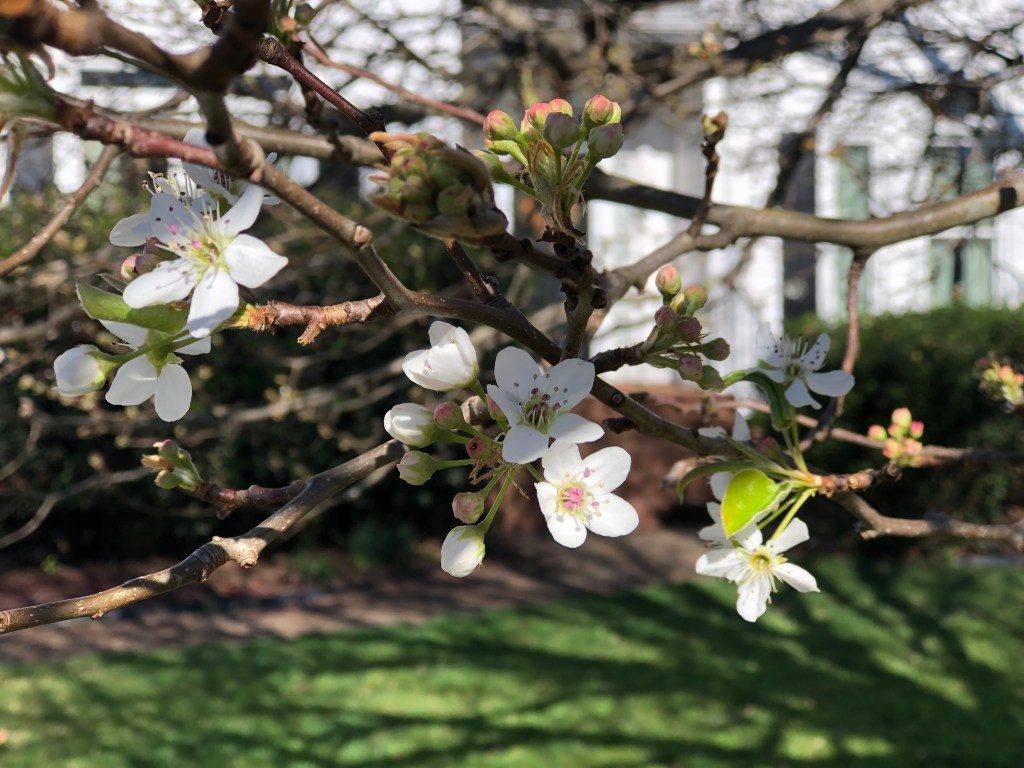 Miracles, Little by&nbsp;Little