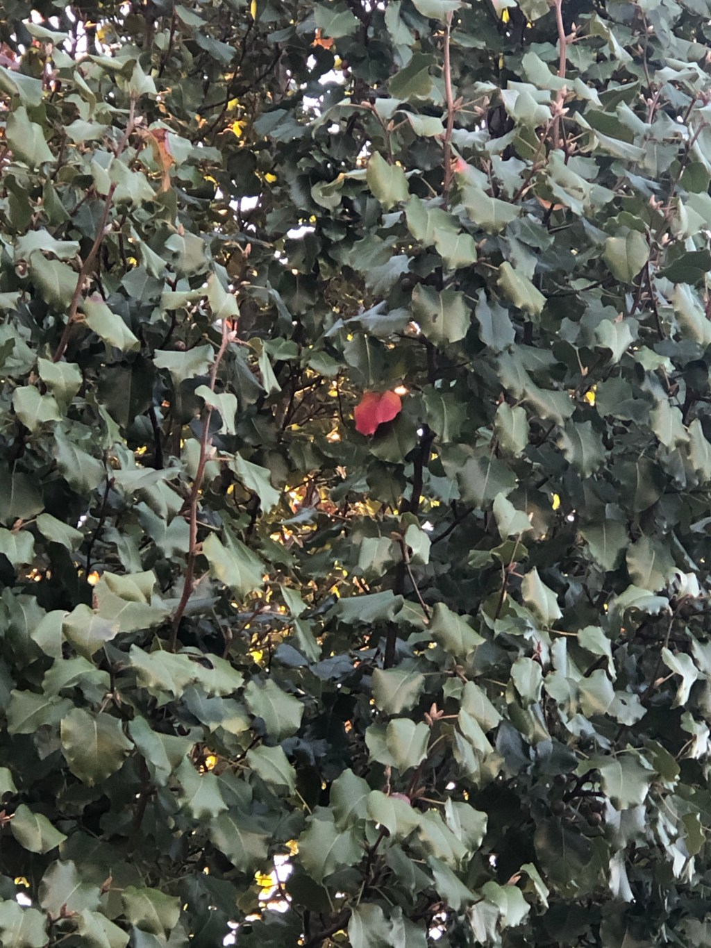 Thankfulness: Change Starts&nbsp;Small