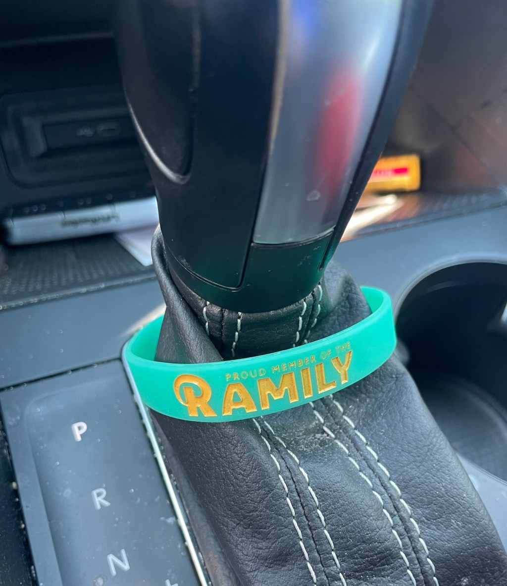 Purposefully Seeking Purpose